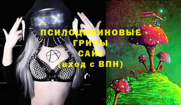 твердый Алексин