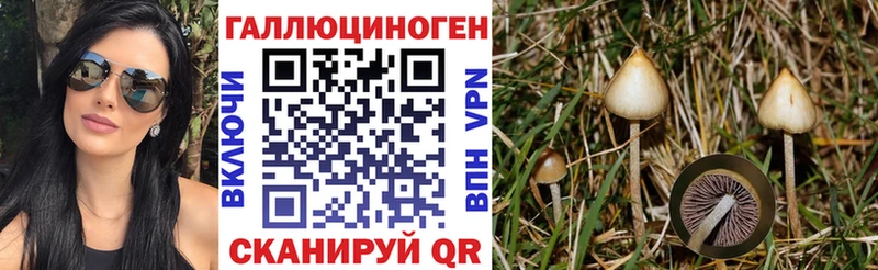 магазин    Новая Ляля  Галлюциногенные грибы GOLDEN TEACHER 